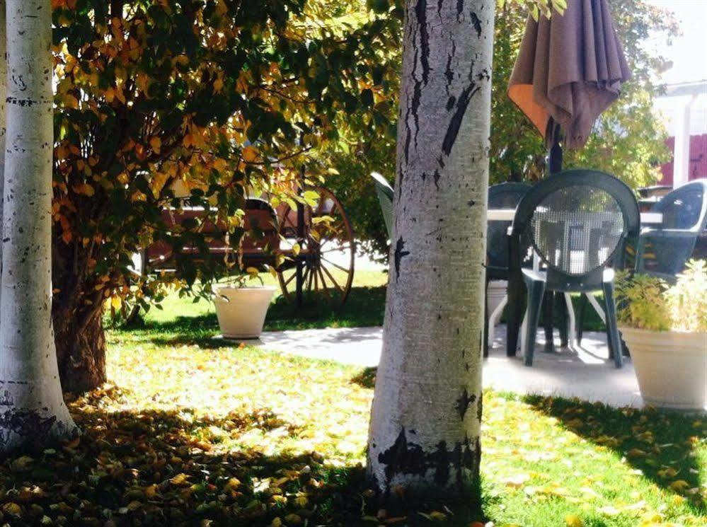 Motel Redwood 2*